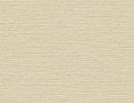 TG60338 faux sisal textured vinyl wallpaper from the Tedlar Textures collection by DuPont
