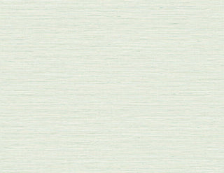 TG60346 faux sisal textured vinyl wallpaper from the Tedlar Textures collection by DuPont