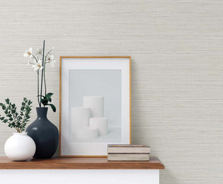 TG60348 faux sisal textured vinyl wallpaper decor from the Tedlar Textures collection by DuPont