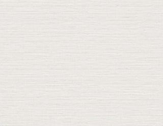 TG60348 faux sisal textured vinyl wallpaper from the Tedlar Textures collection by DuPont