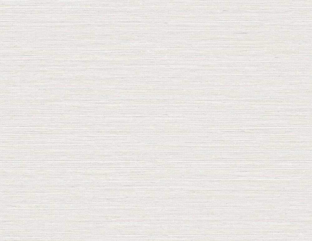 TG60348 faux sisal textured vinyl wallpaper from the Tedlar Textures collection by DuPont