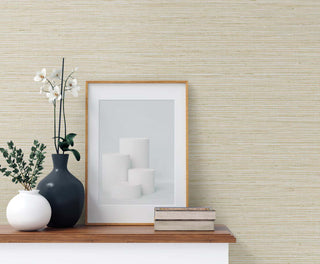 TG60349 faux sisal textured vinyl wallpaper decor from the Tedlar Textures collection by DuPont
