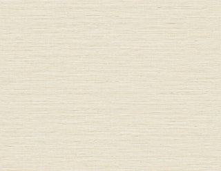 TG60349 faux sisal textured vinyl wallpaper from the Tedlar Textures collection by DuPont