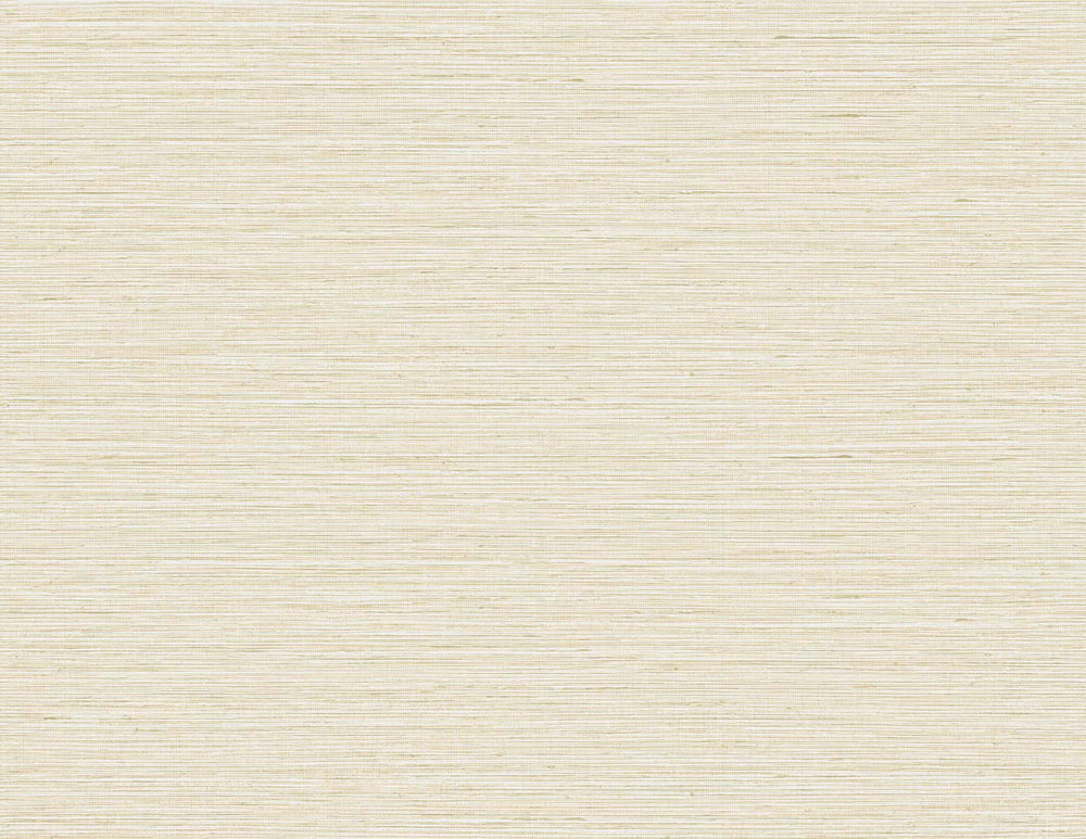 TG60349 faux sisal textured vinyl wallpaper from the Tedlar Textures collection by DuPont