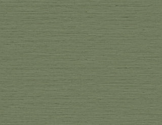 TG60351 faux sisal textured vinyl wallpaper from the Tedlar Textures collection by DuPont