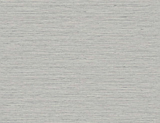 TG60352 faux sisal textured vinyl wallpaper from the Tedlar Textures collection by DuPont
