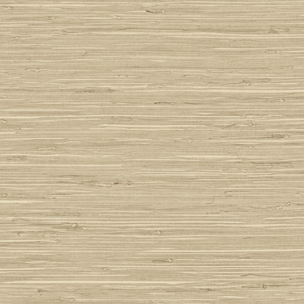 
                  
                    TG60516 faux grasscloth textured vinyl wallpaper from the Tedlar Textures collection by DuPont
                  
                