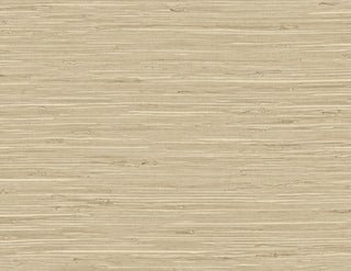 TG60516 faux grasscloth textured vinyl wallpaper from the Tedlar Textures collection by DuPont