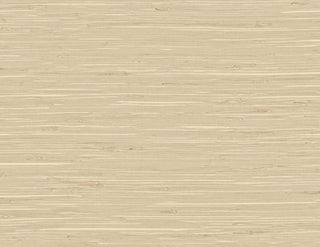 TG60517 faux grasscloth textured vinyl wallpaper from the Tedlar Textures collection by DuPont