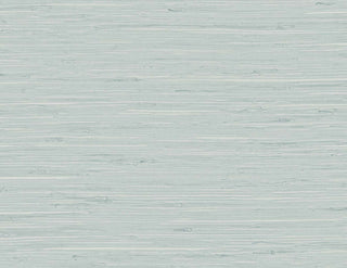 TG60519 faux grasscloth textured vinyl wallpaper from the Tedlar Textures collection by DuPont