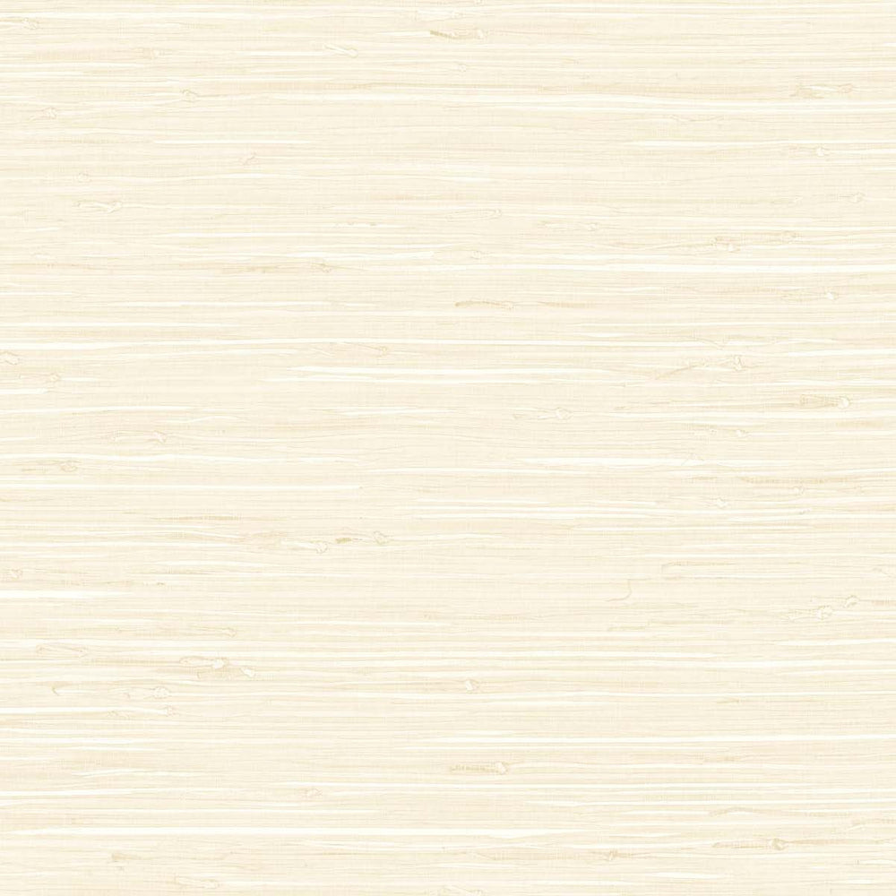 
                  
                    TG60526 faux grasscloth textured vinyl wallpaper from the Tedlar Textures collection by DuPont
                  
                