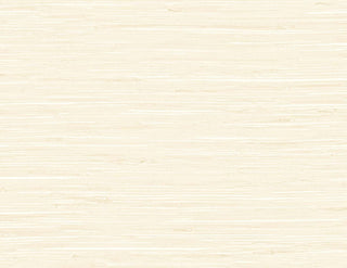 TG60526 faux grasscloth textured vinyl wallpaper from the Tedlar Textures collection by DuPont