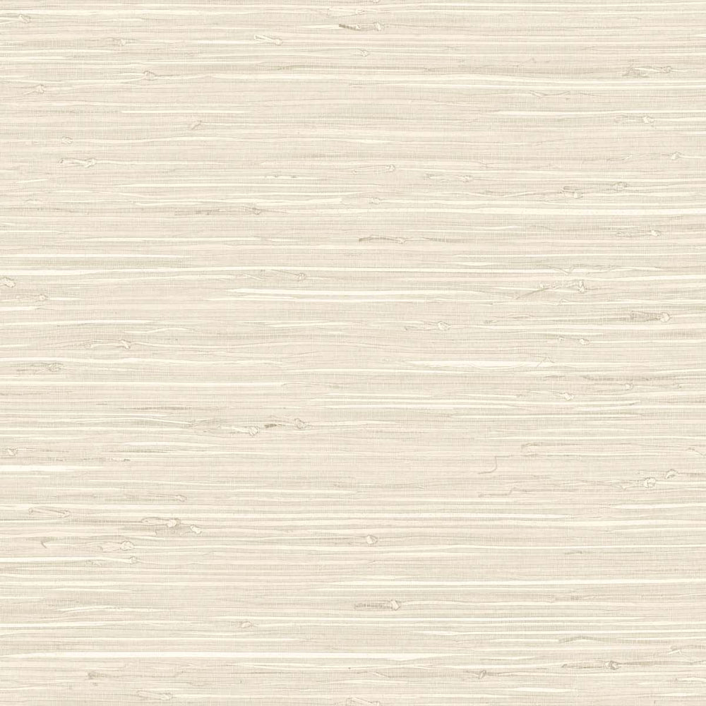 
                  
                    TG60527 faux grasscloth textured vinyl wallpaper from the Tedlar Textures collection by DuPont
                  
                