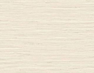 TG60527 faux grasscloth textured vinyl wallpaper from the Tedlar Textures collection by DuPont