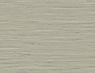 TG60529 faux grasscloth textured vinyl wallpaper from the Tedlar Textures collection by DuPont