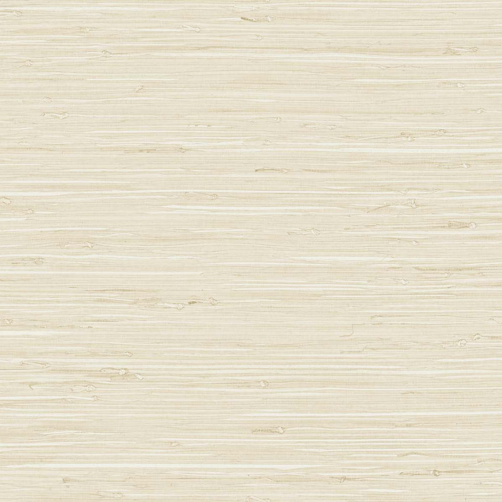 
                  
                    TG60531 faux grasscloth textured vinyl wallpaper from the Tedlar Textures collection by DuPont
                  
                