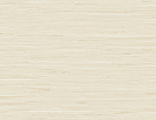 TG60531 faux grasscloth textured vinyl wallpaper from the Tedlar Textures collection by DuPont