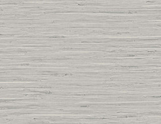 TG60532 faux grasscloth textured vinyl wallpaper from the Tedlar Textures collection by DuPont