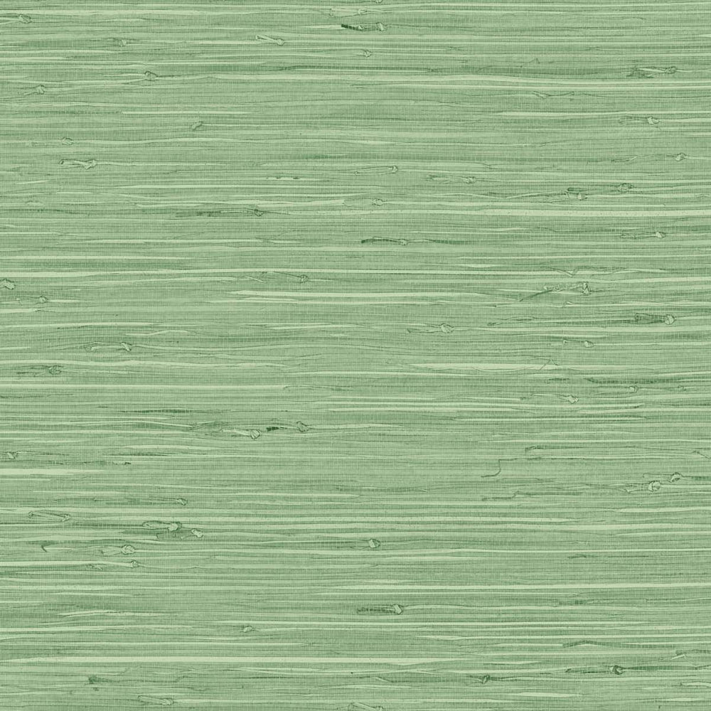 
                  
                    TG60534 faux grasscloth textured vinyl wallpaper from the Tedlar Textures collection by DuPont
                  
                