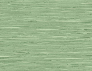 TG60534 faux grasscloth textured vinyl wallpaper from the Tedlar Textures collection by DuPont