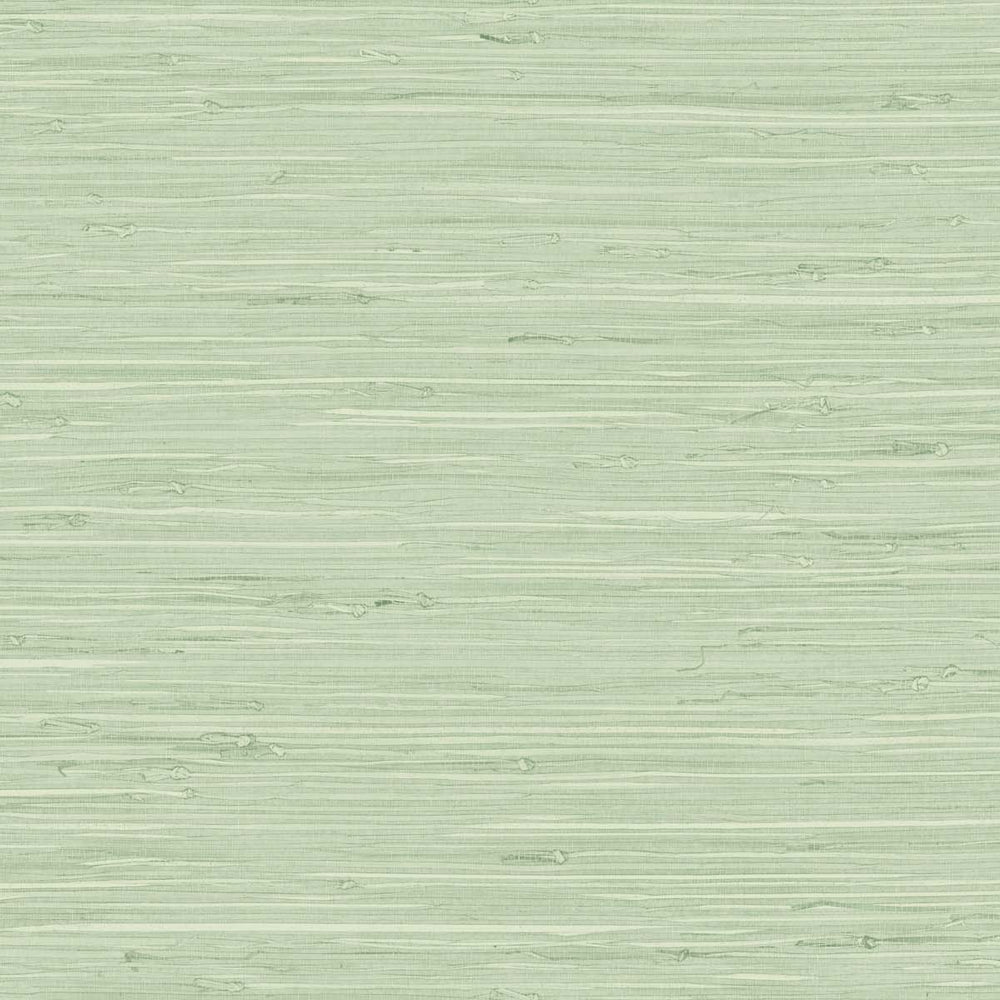 
                  
                    TG60535 faux grasscloth textured vinyl wallpaper from the Tedlar Textures collection by DuPont
                  
                