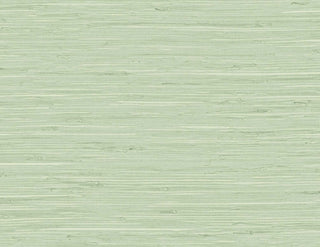 TG60535 faux grasscloth textured vinyl wallpaper from the Tedlar Textures collection by DuPont