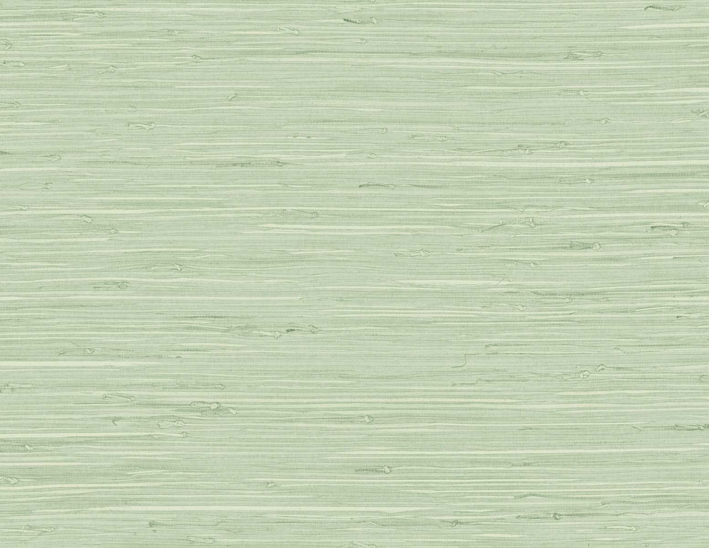 TG60535 faux grasscloth textured vinyl wallpaper from the Tedlar Textures collection by DuPont