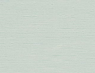 Embossed vinyl wallpaper TS80704 from the Even More Textures collection by Seabrook Designs