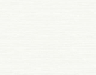TS82000 faux sisal vinyl wallpaper from the Even More Textures collection by Seabrook Designs