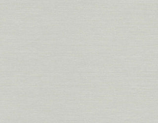 TS82008 faux sisal vinyl wallpaper from the Even More Textures collection by Seabrook Designs