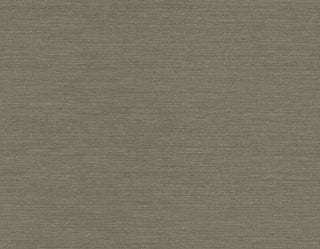 TS82015 faux sisal vinyl wallpaper from the Even More Textures collection by Seabrook Designs