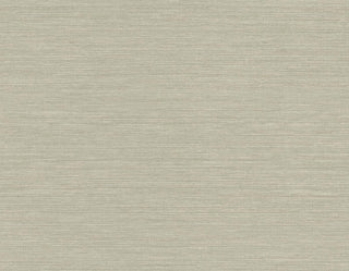 TS82035 faux sisal vinyl wallpaper from the Even More Textures collection by Seabrook Designs