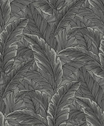 Etten Gallerie Black & White Palm Leaves Botanical Wallpaper