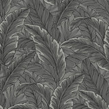 UK10004 palm leaf botanical wallpaper from the Black and White collection by Etten Gallerie