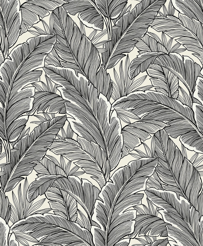 UK10005 palm leaf botanical wallpaper from the Black and White collection by Etten Gallerie