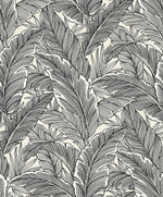 UK10005 palm leaf botanical wallpaper from the Black and White collection by Etten Gallerie