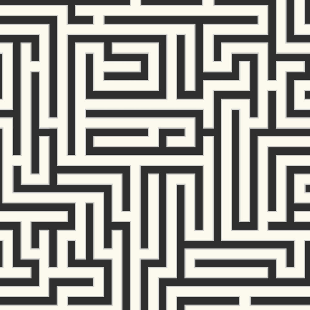 ZN50300 Yanaka maze geometric wallpaper from the Black and White collection by Etten Gallerie