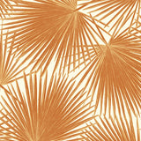 TA20206 aruba palm leaf tropical wallpaper from the Tortuga collection by Seabrook Designs