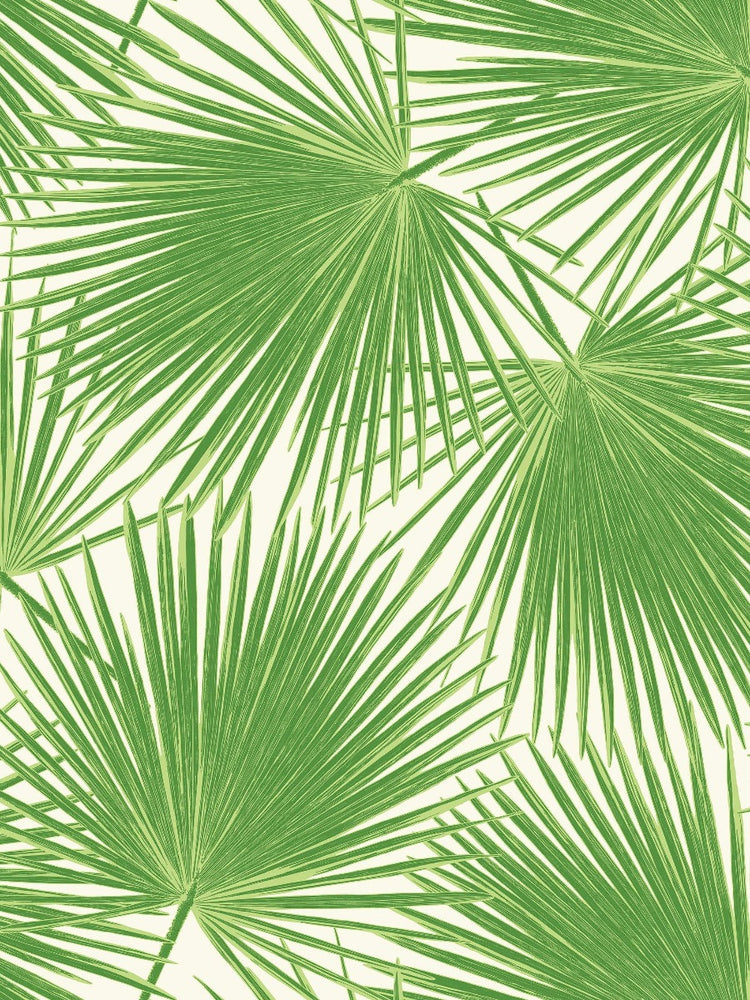 
                  
                    TA20204 aruba palm leaf tropical wallpaper from the Tortuga collection by Seabrook Designs
                  
                