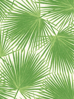 TA20204 aruba palm leaf tropical wallpaper from the Tortuga collection by Seabrook Designs