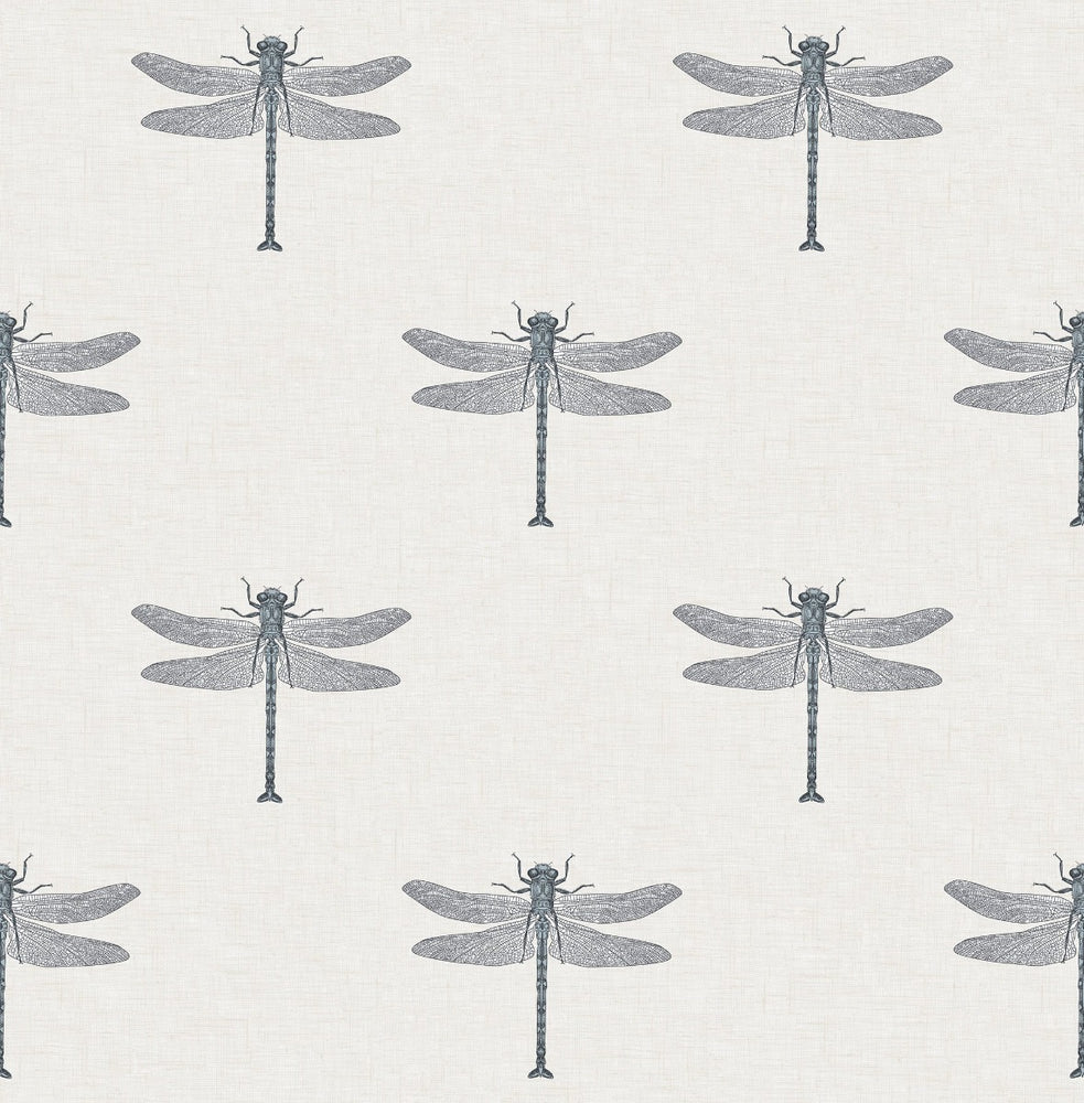 TA20300 Catalina dragonfly wallpaper from the Tortuga collection by Seabrook Designs