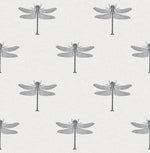 TA20300 Catalina dragonfly wallpaper from the Tortuga collection by Seabrook Designs