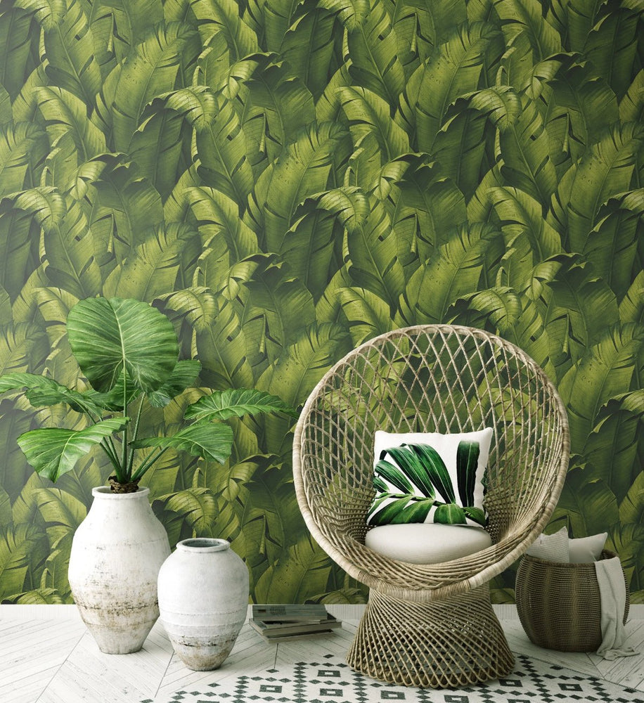 Banana leaf peel and stick wallpaper living room NW31000 from NextWall