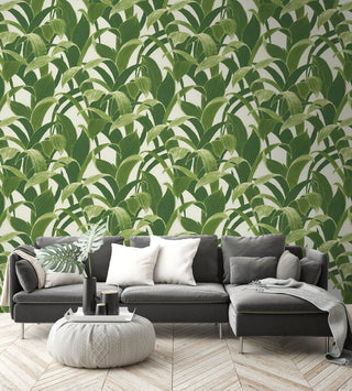 Banana Groves Green Peel and Stick Removable Wallpaper