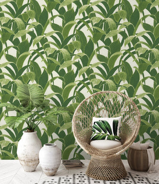 Banana Groves Green Peel and Stick Removable Wallpaper