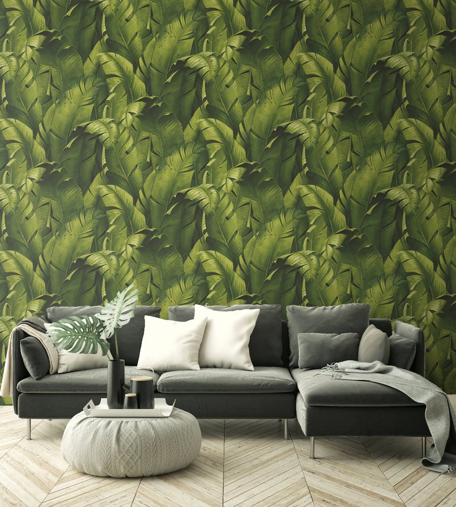 Banana leaf peel and stick wallpaper decor NW31000 from NextWall