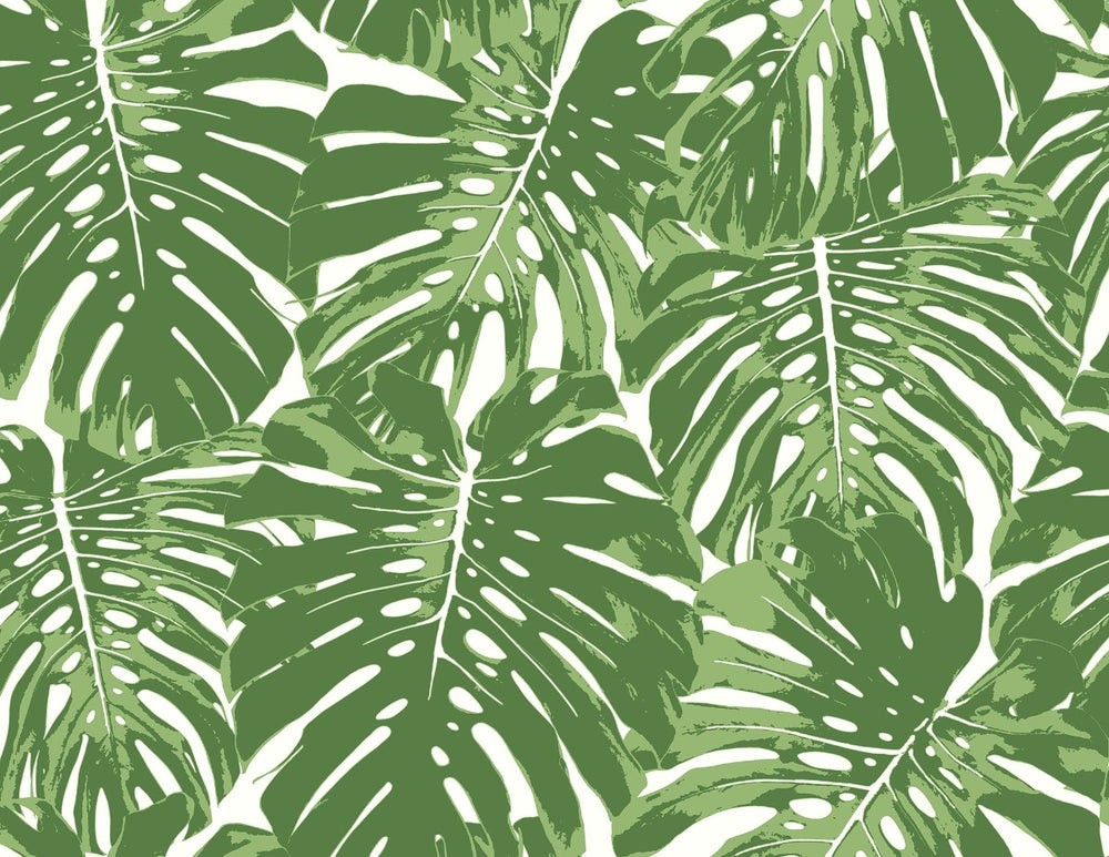 
                  
                    TA20004 Jamaica palm leaf wallpaper from the Tortuga collection by Seabrook Designs
                  
                