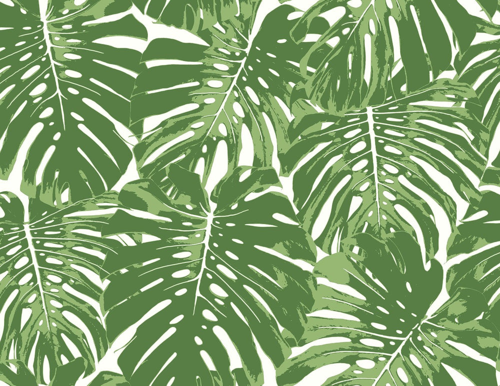 TA20004 Jamaica palm leaf wallpaper from the Tortuga collection by Seabrook Designs