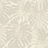 TA20005 Jamaica palm leaf wallpaper from the Tortuga collection by Seabrook Designs