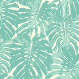 TA20014 Jamaica palm leaf wallpaper from the Tortuga collection by Seabrook Designs